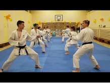 Jiyu ippon kumite bases